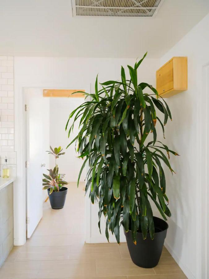 The Zen - Outdoor Shower, Gas Fireplace, Walkable To Shops & Restaurants Джошуа-Трі Екстер'єр фото
